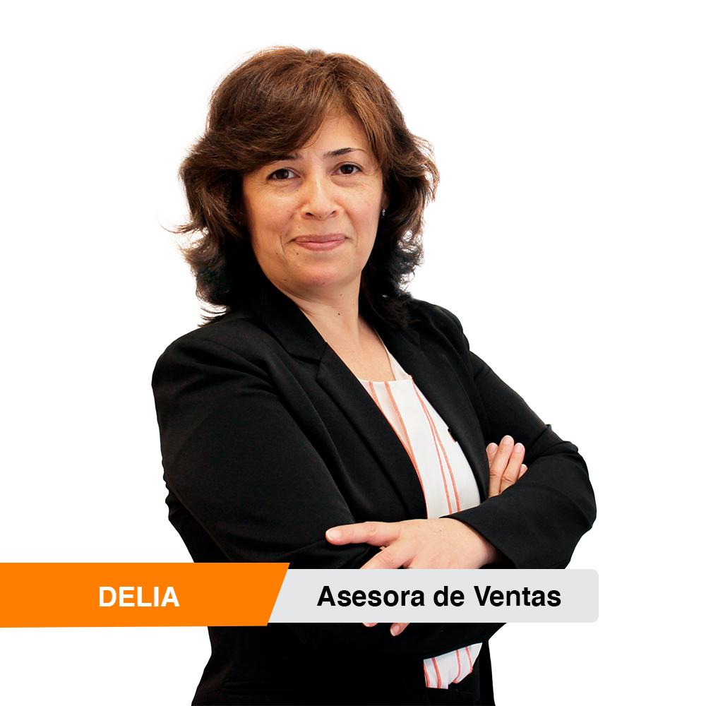 Vendedor Delia Ninfa Villasanti Orquiola
